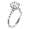 Thumbnail Image 2 of Round-Cut Lab-Created Diamond Solitaire Plus Engagement Ring 2-1/2 ct tw Platinum (VS2/F)