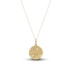 Thumbnail Image 3 of Diamond Pisces Zodiac Pendant Necklace 1/10 ct tw Round 14K Yellow Gold