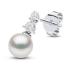 Thumbnail Image 2 of Yoko London Akoya Cultured Pearl & Diamond Earrings 1/6 ct tw 18K White Gold