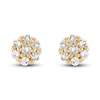 Thumbnail Image 1 of Diamond Earrings 1/20 ct tw Round 14K Yellow Gold