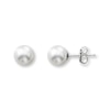 Thumbnail Image 1 of Cultured Pearl Earrings 14K White Gold