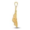 Thumbnail Image 3 of Gold Lion Charm 14K Yellow Gold