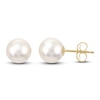 Thumbnail Image 1 of Freshwater Cultured Pearl Stud Earrings 14K Yellow Gold 8-8.5mm