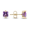 Thumbnail Image 1 of Natural Amethyst Earrings 10K Yellow Gold