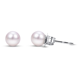 Akoya Cultured Pearl Earrings 14K White Gold