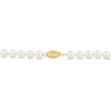 Thumbnail Image 2 of Cultured Pearl Necklace 14K Yellow Gold 18&quot;