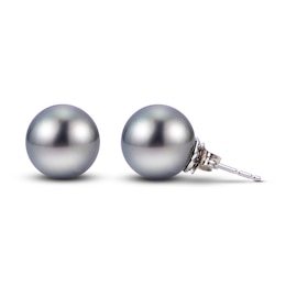 Tahitian Cultured Pearl Stud Earrings 14K White Gold