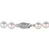 Thumbnail Image 2 of Akoya Cultured Pearl Necklace 14K White Gold 16"