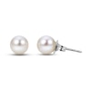 Thumbnail Image 1 of Akoya Cultured Pearl Stud Earrings 18K White Gold