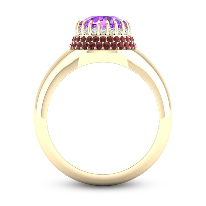 Natural Amethyst & Natural Garnet Ring 1/10 ct tw Diamonds 14K Yellow Gold