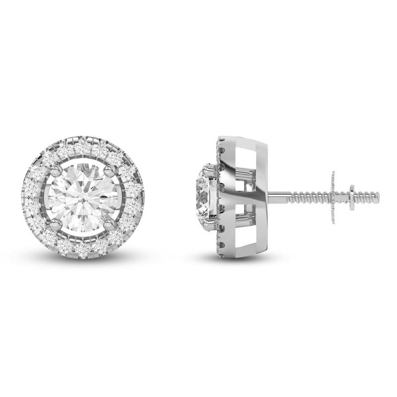 Main Image 4 of Lab-Created Diamond Earring Jackets 1/5 ct tw 10K White Gold