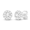 Thumbnail Image 1 of Diamond Stud Earrings 1/4 ct tw Round 14K White Gold