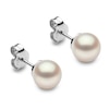 Thumbnail Image 1 of Yoko London White Freshwater Cultured Pearl Stud Earrings 18K White Gold