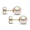 Thumbnail Image 2 of Yoko London Freshwater Cultured Pearl Stud Earrings 18K Yellow Gold