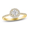 Thumbnail Image 1 of Diamond Floral Halo Engagement Ring 3/4 ct tw 14K Yellow Gold