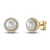 Thumbnail Image 1 of Shy Creation Freshwater Cultured Pearl Stud Earrings 1/10 ct tw 14K Yellow Gold SC55023954