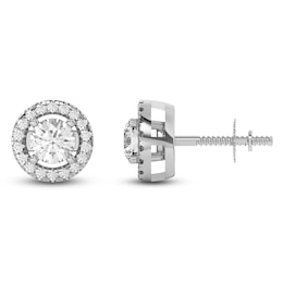 Lab-Created Diamond Earring Jackets 1/8 ct tw 10K White Gold