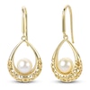 Thumbnail Image 0 of Freshwater Cultured Pearl Hook Earrings 14K Yellow Gold