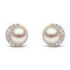 Thumbnail Image 0 of Yoko London Cultured Pearl & Diamond Stud Earrings 1/10 ct tw 18K Yellow Gold