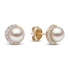 Thumbnail Image 3 of Yoko London Cultured Pearl & Diamond Stud Earrings 1/10 ct tw 18K Yellow Gold