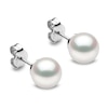 Thumbnail Image 1 of Yoko London White Akoya Cultured Pearl Stud Earrings 18K White Gold