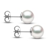 Thumbnail Image 2 of Yoko London White Akoya Cultured Pearl Stud Earrings 18K White Gold