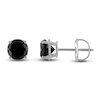 Thumbnail Image 1 of Black Diamond Solitaire Earrings 2 ct tw Round 10K White Gold (I3)