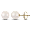 Thumbnail Image 1 of Freshwater Cultured Pearl Stud Earrings 14K Yellow Gold