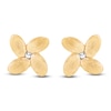 Thumbnail Image 1 of Italia D'Oro Satin-Finish Flower Stud Earrings 14K Yellow Gold