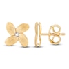 Thumbnail Image 3 of Italia D'Oro Satin-Finish Flower Stud Earrings 14K Yellow Gold