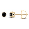 Thumbnail Image 1 of Round-Cut Black Diamond Solitaire Stud Earrings 1/4 ct tw 14K Yellow Gold