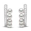 Thumbnail Image 1 of Yoko London Akoya Cultured Pearl Earrings 1/3 ct tw Diamonds 18K White Gold