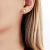 Thumbnail Image 4 of Yoko London Golden South Sea Cultured Pearl Stud Earrings 18K Yellow Gold