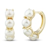 Thumbnail Image 1 of Freshwater Cultured Pearl Earrings 14K Yellow Gold