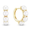 Thumbnail Image 3 of Freshwater Cultured Pearl Earrings 14K Yellow Gold