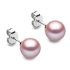 Thumbnail Image 1 of Yoko London Pink Freshwater Cultured Pearl Stud Earrings 18K White Gold