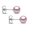 Thumbnail Image 1 of Yoko London Pink Freshwater Cultured Pearl Stud Earrings 18K White Gold